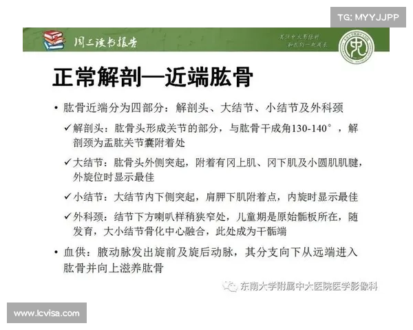 男柔道武器选择技巧分析如何根据个人特点与比赛需求做出最佳决策 男柔道武器选择技巧分析如何根据个人特点与比赛需求做出最佳决策